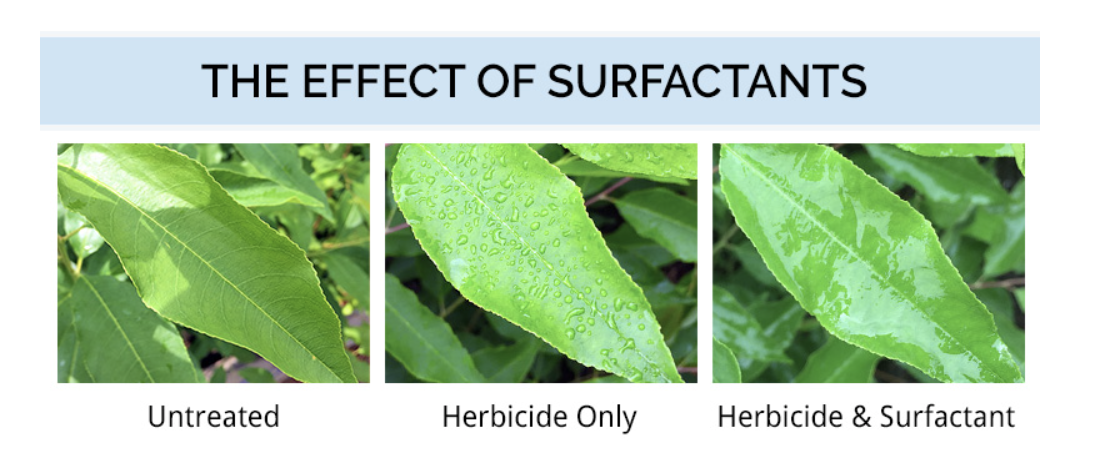 Todo lo que necesita saber sobre los tensioactivos para herbicidas